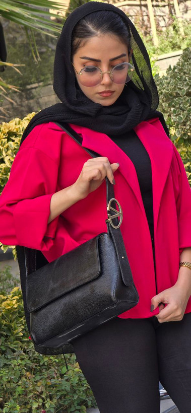کیف مجلسی